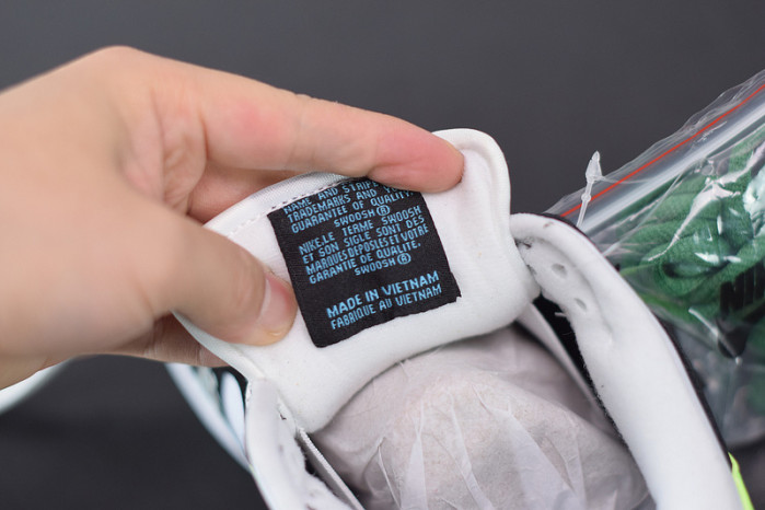 nike dunk sb low loon 313170-011