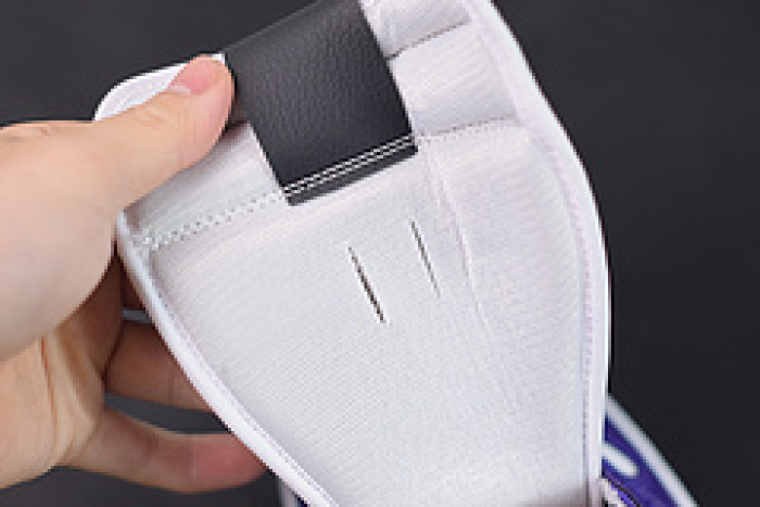 air jordan 1 retro high court purple white 555088-500