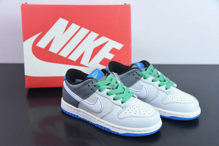 nike dunk low kids