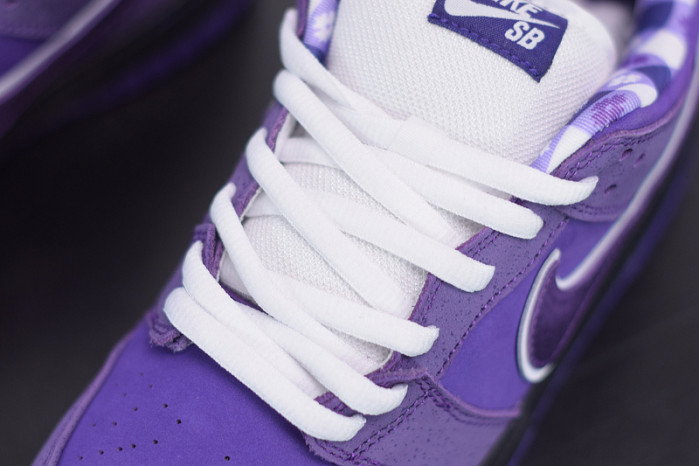 nike sb dunk low concepts purple lobster bv1310-555