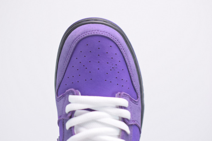 nike sb dunk low concepts purple lobster bv1310-555