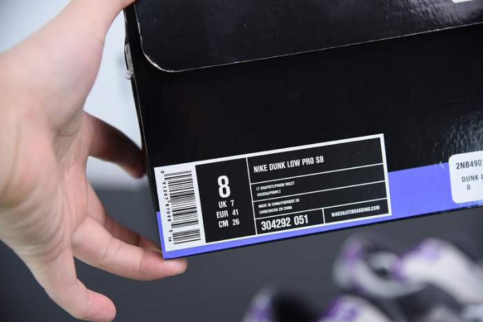 nike dunk sb low purple pigeon 304292-051