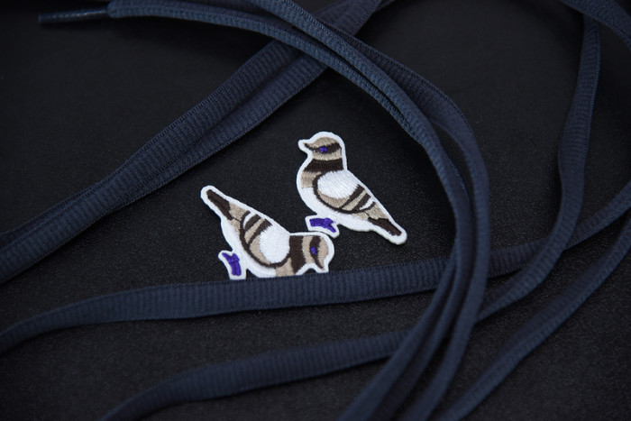 nike dunk sb low purple pigeon 304292-051