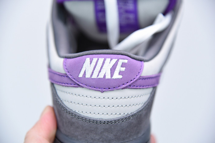 nike dunk sb low purple pigeon 304292-051