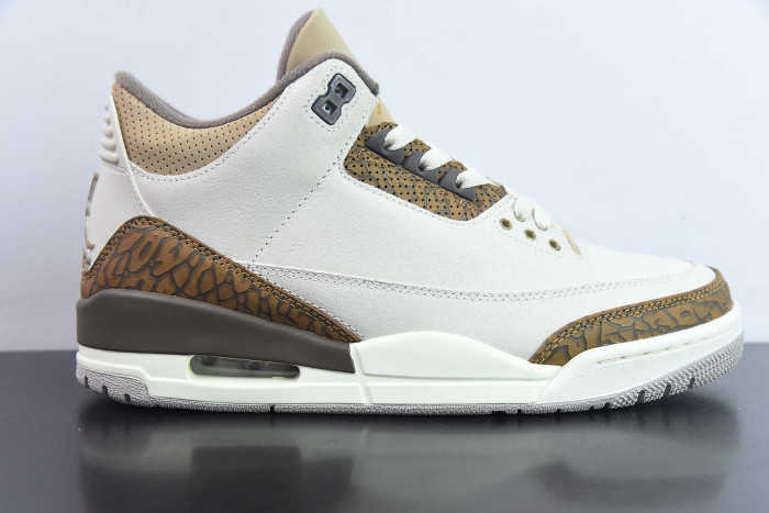 air jordan 3 palomino ct8532-102