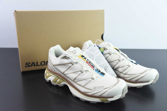 salomon xt-6 turtledove vintage khaki