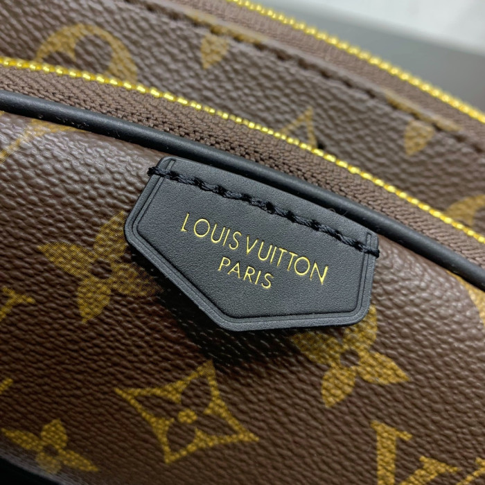 Louis Vuitton LV Monogram Brown Keepit Bumbag M14806