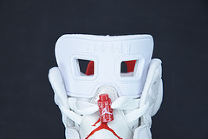 air jordan 6 retro " red oreo " ct8529-162